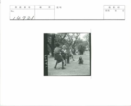 女孩与跷跷板公园时光.jpg