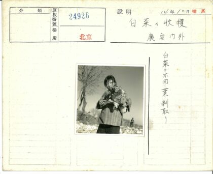 女孩田野持绿叶蔬菜.jpg