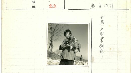 女孩田野持绿叶蔬菜.jpg
