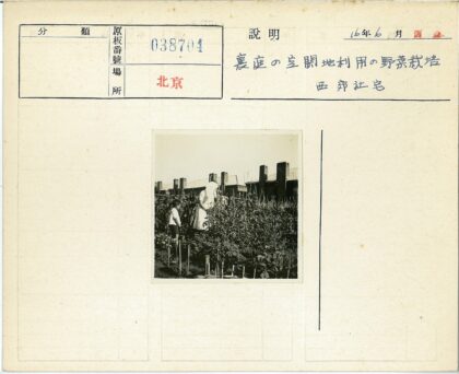 妇女与孩子照料花园.jpg