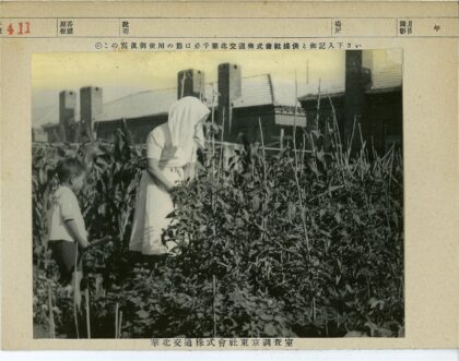 妇女与孩子花园照料植物.jpg