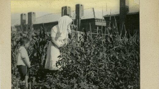 妇女与孩子花园照料植物.jpg