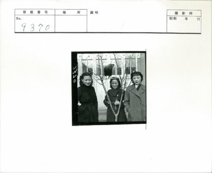 妇女与鸟光秃树前玻璃建筑.jpg