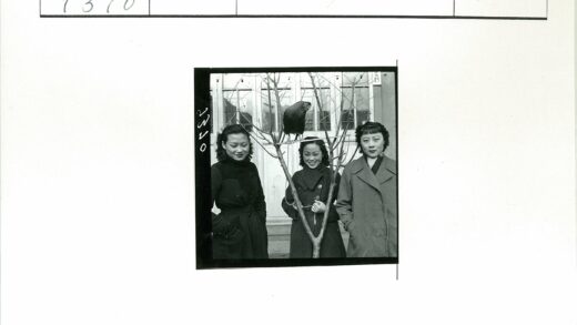 妇女与鸟光秃树前玻璃建筑.jpg