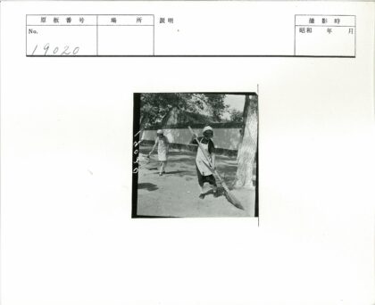 妇女打扫浇水大树建筑旁.jpg