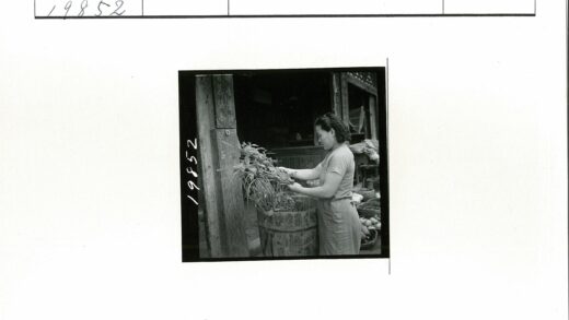 妇女插花与蔬菜木篮.jpg