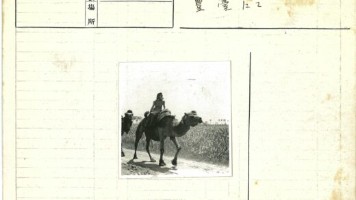 妇女骑骆驼穿行棕榈泥路.jpg