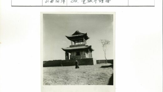 孤影宝塔晴空树.jpg