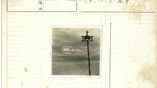 孤杆羊群旷野风光.jpg