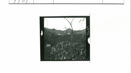 孤树与山岩黑白照.jpg
