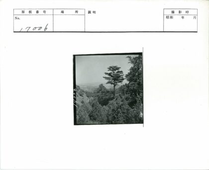 孤树丘陵与远山景观.jpg