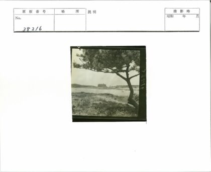 孤树倒影湖畔古建风光.jpg