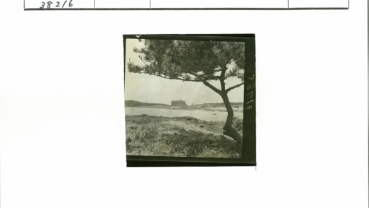 孤树倒影湖畔古建风光.jpg