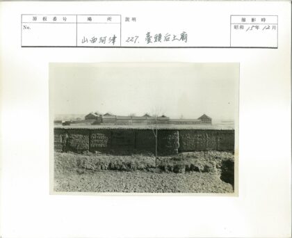 孤树古墙晴空下.jpg