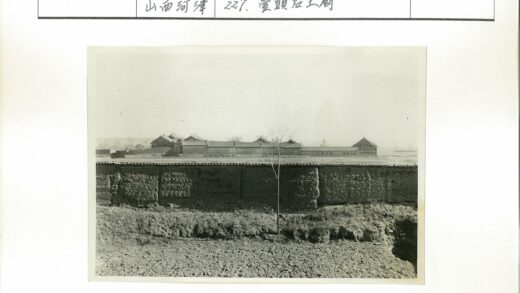 孤树古墙晴空下.jpg