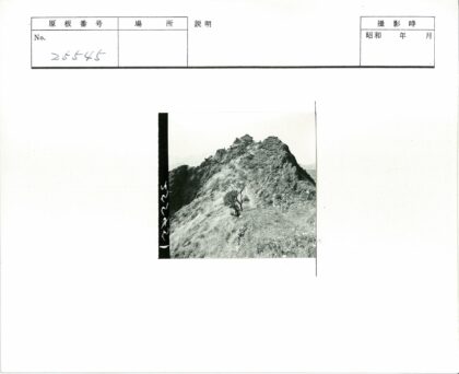 孤树山坡山顶小屋远山景.jpg