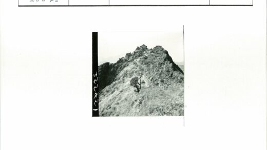 孤树山坡山顶小屋远山景.jpg