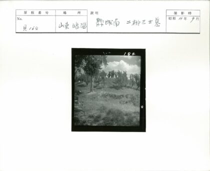 孤树山坡阴天黑白风景.jpg