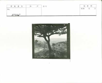 孤树岩石远眺群山.jpg