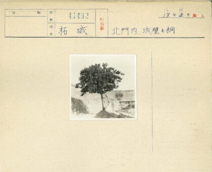 孤树荒原土路蜿蜒.jpg