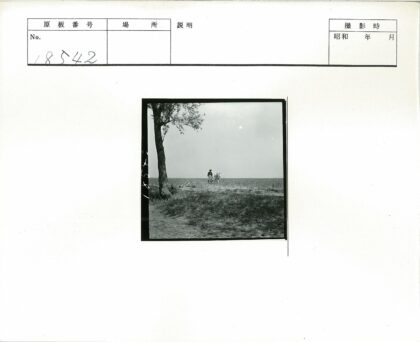 孤独旅人与驴的草原.jpg