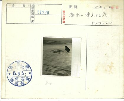 孤独行者与荒原.jpg