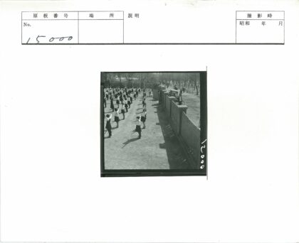 学生庭院运动树木建筑背景.jpg