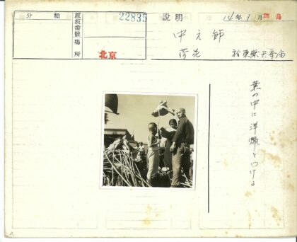 孩子与树叶的秋日时光.jpg