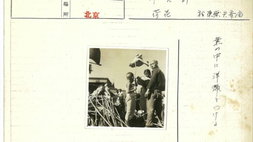孩子与树叶的秋日时光.jpg
