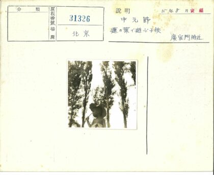 孩子举树叶森林背景.jpg