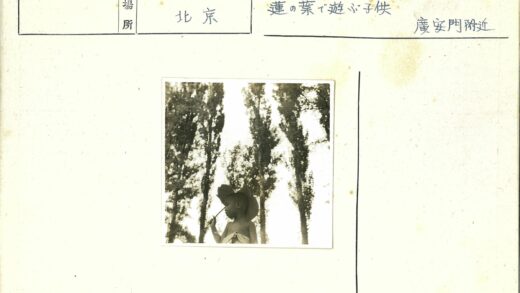 孩子举树叶森林背景.jpg