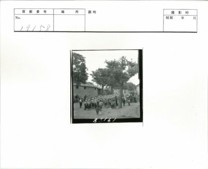 孩子们列队走在林荫土路上.jpg