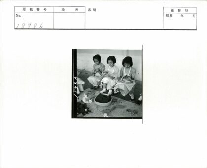 孩子们梳理羊毛的老照片.jpg