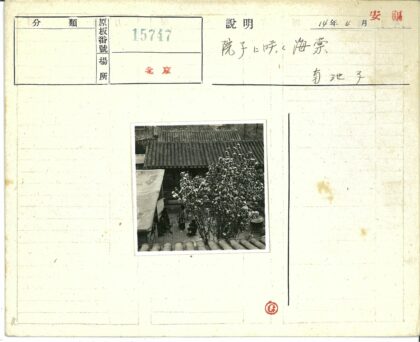孩童与春日院落的欢聚时光.jpg