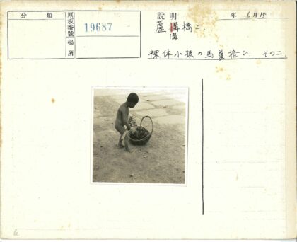 孩童与柳篮石路.jpg