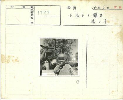 孩童与驴在树林边.jpg