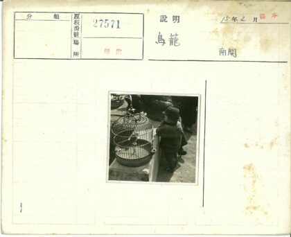 孩童与鸟笼阳光时光.jpg