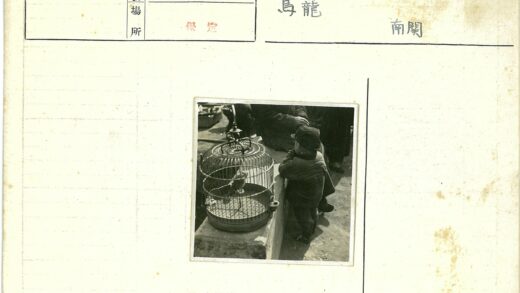 孩童与鸟笼阳光时光.jpg