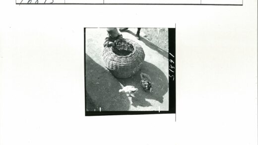 孩童与鸡在编织篮旁.jpg