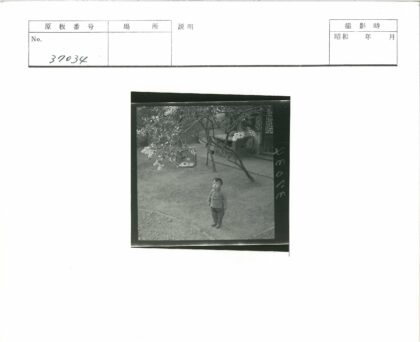 孩童仰望树梢鸟笼.jpg