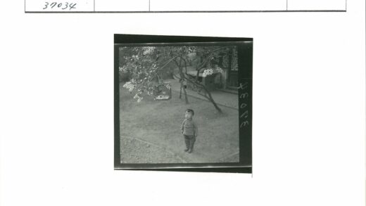 孩童仰望树梢鸟笼.jpg