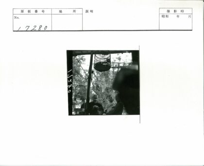 孩童围观柱上鸟笼.jpg