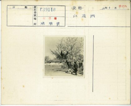 孩童在秃树旁玩耍建筑背景.jpg