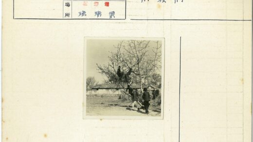 孩童在秃树旁玩耍建筑背景.jpg