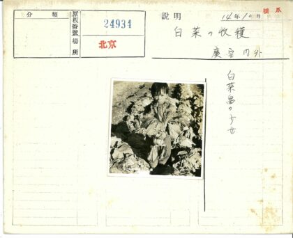 孩童怀抱卷心菜田间留影.jpg