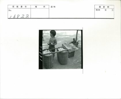 孩童手持鸡蛋与公鸡合影.jpg