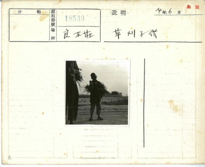 孩童抱草田间小路远眺建筑.jpg