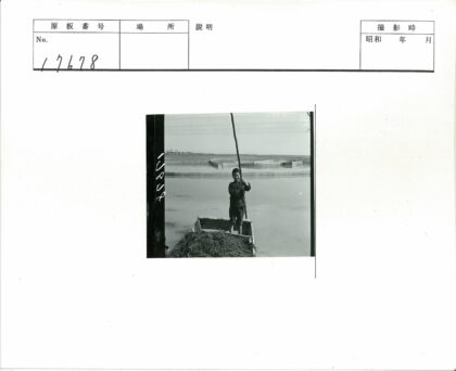 孩童撑篙浅水芦苇船.jpg