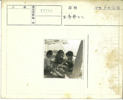 孩童树下专注观察.jpg