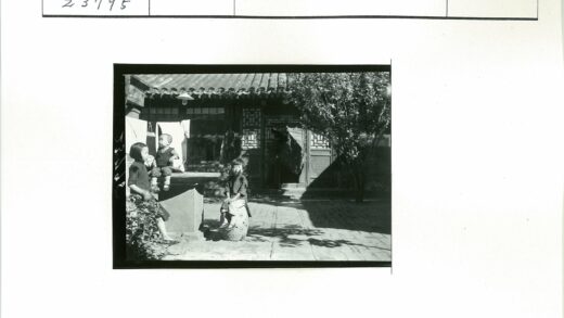 孩童树下传统建筑前.jpg